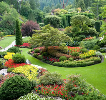 Les bons paysagistes et jardiniers à Cholet