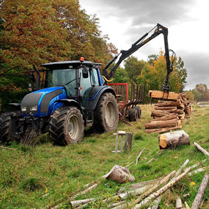 Travaux de défrichage du 49 à Cholet